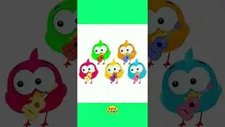 KIDS CAMP FINGER FAMILY DUCK 🌈 LEARNING NURSERY RHYMES ALPHABET NUMBERS SHAPES LEARNING 🌈