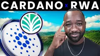 Реальные активы на Cardano вот-вот взорвутся!