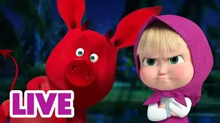 🔴 EN VIVO Masha y el Oso Castellano 🌍🚀 MI tipo de aventura 🏕️🎒 Masha and the Bear LIVE