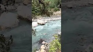 Music of Tirthan river #tirthanvalley #jibhi #trending #travel #trip #enjoy #music #song #short #fun