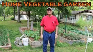Tour of our Home Vegetable garden