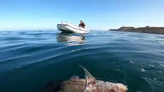 Spearfishing at Baia das Pipas and Chapeau Armado (Angola, Namibe province)