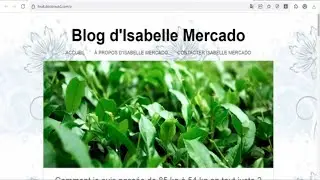 Matcha Slim (France) - Diet - Weightloss