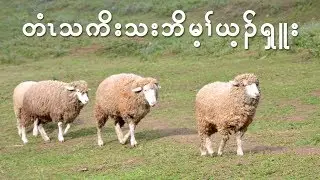 Hymn, What a Friend We Have in Jesus in Karen by Eh Wah & Eh Ler Tha