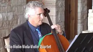 String Quartet (Constructed) | Wedding Music | Colorado Musicians | A Music Plus Entertainment