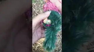 Magical flower toy by olvikdolls волшебный цветок от куклыолвик