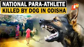 Rabid Dog Attack In Odisha&rsquo;s Bolangir Claims 2 Lives, Including Para-Athlete; 6 Others Injured