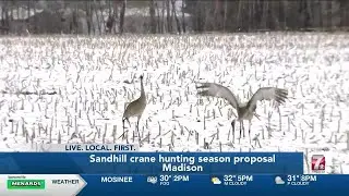 State senate committee proposes sandhill #crane hunt