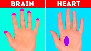 27 MASSAGE TECHNIQUES TO IMPROVE YOUR CONDITIONS