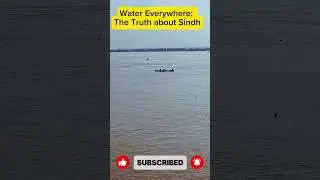 Water Everywhere: The Truth about Sindh #flood #sindh
