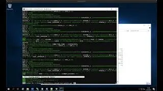 Silent Scanning - THOR- Lite Exchange Server 2019 Scan for ProxyShell ProxyToken Exploitation