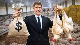I Raised 15,000 Chickens in 30 Days... Here's What I Made