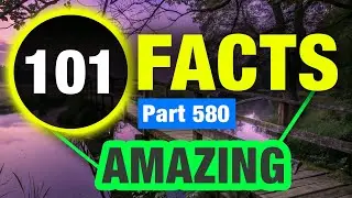 101 Curious Facts You Won&rsquo;t Believe