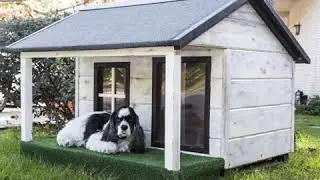 Creative dog home ideas /stylish and beautiful dog home design