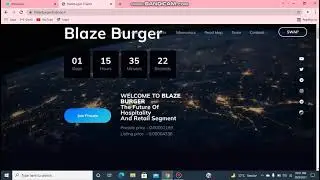 NEW TOKEN BLAZE BURGER FULL TOKEN REVIEW 900X SOON