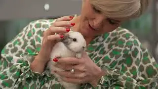 Duponzoo woontrends