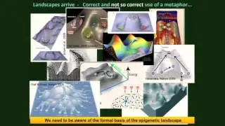 Basic Concepts of Complex Systems Dynamics and Application to Mutation-less Cancer Progression