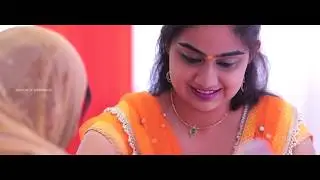 Actress Vidhya Unni & Sanjay | Traditional Hindu Wedding Highlights