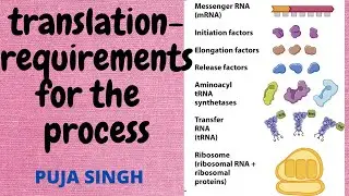 TRANSLATION - REQUIREMENTS FOR THE PROCESS for NEET AND BOARD EXAMS
