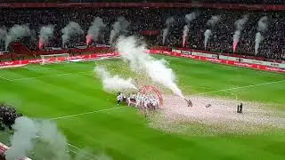 Polish team celebrating qualify for the World Cup Russia 2018, Lewandowski capitan