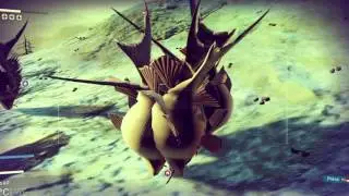 No Man's Sky Land Fishes