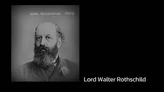 The Dark History of Germany and Palestine