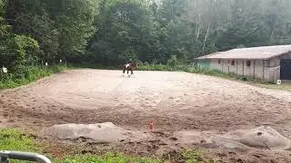 Patty Hendren riding Quillane Axell walk trot test B