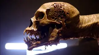 Strange and creepy video #122