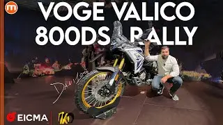 Voge Valico 800DS Rally | Maxi enduro al top, a un prezzo da non credere