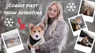 Puppy&rsquo;s First Snow Fall Adventure | VLOGMASS