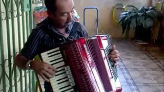 GONÇALO   MESTRE NO ACORDEÃO