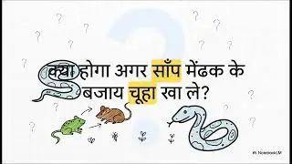 Food chain
