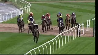 2008 Grand Sefton Chase