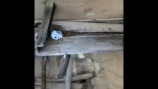 Caution: This Ancient Coffin Is NOT Empty #shorts