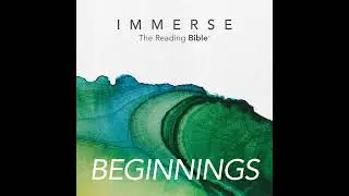 Immerse Beginnings - Week 1: Day 4 Genesis