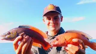 Охота на виды с моим мальчиком 🎣 #GGguiding