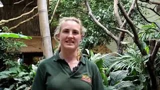 Sustainability at the Tropical House, Fota Wildlife Park