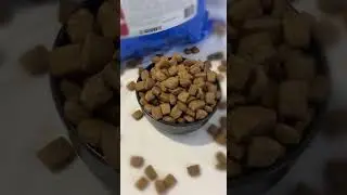 Сухой корм премиум класса для собак YUMMI Premium Quality Говядина & гречка 16 кг
