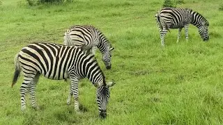 Shai Hills Resource Reserve, Accra, Ghana ৷৷ Part-1.