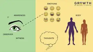 Our true nature - awareness
