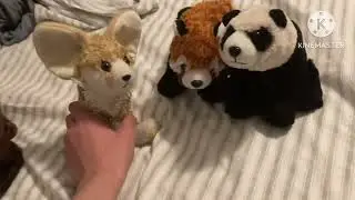 Fennec&rsquo;s Friends S01E88