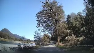 Driving Jackson River Road in Jackson Bay on the West Coast
