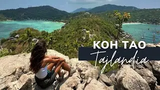Czy to naprawdę taki raj o jakim się słyszy? Prawdziwe oblicze Koh Tao #kohtao #tajlandia
