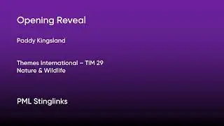 Opening Reveal - Paddy Kingsland | Themes International (TIM29) [Full Track] - PML Stinglinks #161