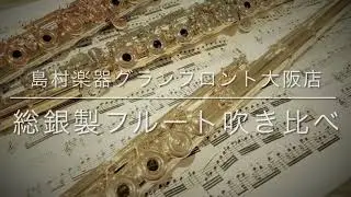 ミヤザワ　AZ/RE