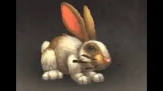Pandaria Safari: Tolai Hare Pup Battle Pet, Kun-Lai Summit, WoW Retail