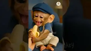 Monkey&rsquo;s Banana Hug 🍌🐒❤️