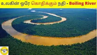 🥵உலகின் ஒரே கொதிக்கும் நதி I Boiling River I amazon forest I tamil talk 365 I infact tamil I #shorts