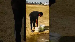Perfect Wicket and Ground Preparation | Professional Pitch Rolling, Marking and Leveling