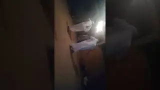 برطية رعد. شيخ مربوح عين صفراء